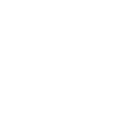 自主巡检